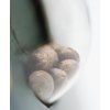 Sensi Seeds Silver Haze regulérní 2