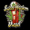 Sumo Seeds Sweet Harlem Diesel regulérní 1
