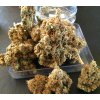 Copy of Chicle dry T.H. Seeds Chicle AKA BubbleDawg feminizovaná