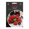 Semínka chilli papriček Jamaican Rosso