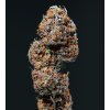 Buddha Seeds Deimos, regulérní