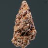 Buddha Seeds Vesta Auto, feminizovaná autoflowering