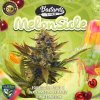 THSeeds MelonsiclePromo TheJuicyJoint 1024x1024