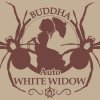 buddha auto white widow
