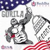 gorila