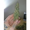 Dinafem Blue Kush Auto feminizovaná autoflowering 3