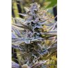 Cookielato Flower