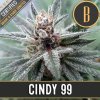 Blimburn Seeds Cindy 99 feminizovaná
