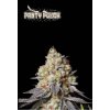 panty punch auto