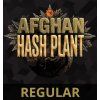 afghan