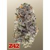 z42