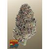 lemon cherry