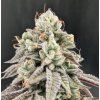 mint sherbet