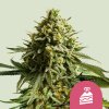 wedding cake fem