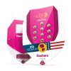 gushers Packaging