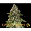 Super Strains � Enemy of the State