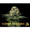 Super Strains � Wedding Cake