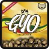DNA Genetics Florida OG feminizovaná