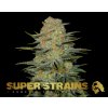 Super Strains � Amajikoym