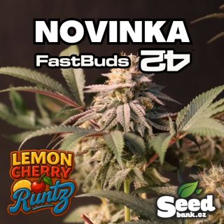 Novinka od Fast Buds — Lemon Cherry Runtz 🍋🍒 Výjimečná kombinace sladké třešně a svěží citrusové chuti, která zanechává...