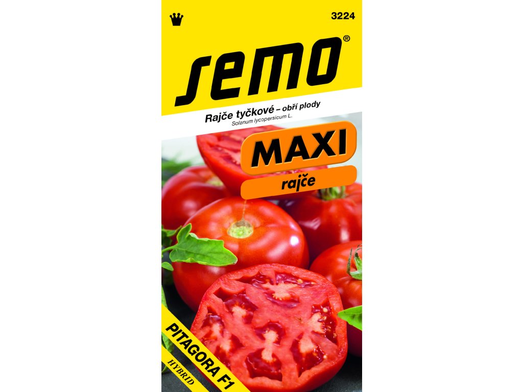 rajciak kolikovy pitagora maxi f1 semo