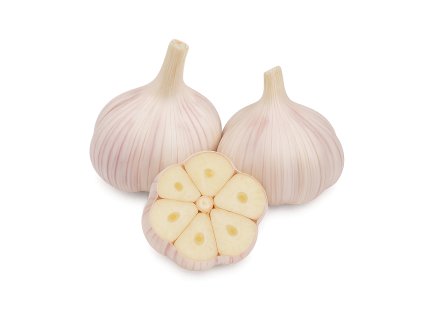 cesnak ozimny vekan paliciak