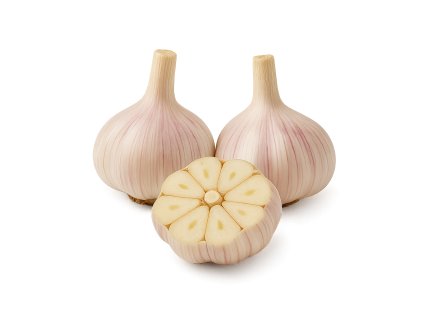 cesnak ozimny havel paliciak