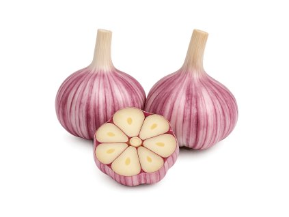 cesnak ozimny havran paliciak