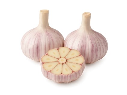 cesnak ozimny ivan paliciak