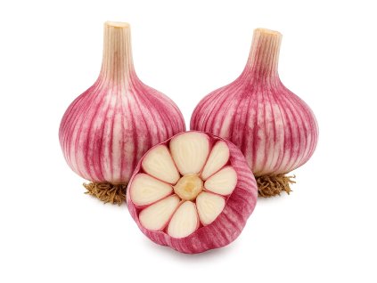 cesnak ozimny janko paliciak