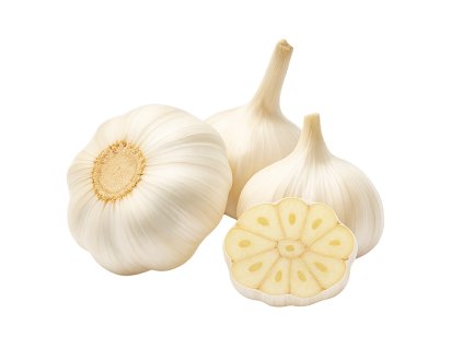 cesnak jarny makoi nepaliciak