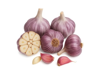 cesnak ozimny otakar paliciak