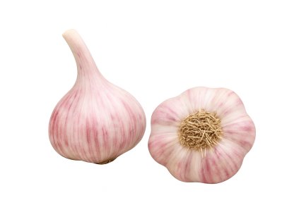 cesnak ozimny paliciak slavin