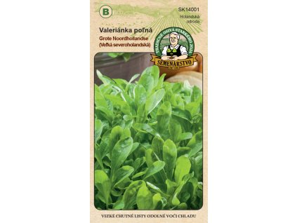 valerianka grote noordhoollandse predna strana