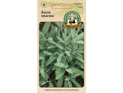 salvia lekarska bylinka predna strana