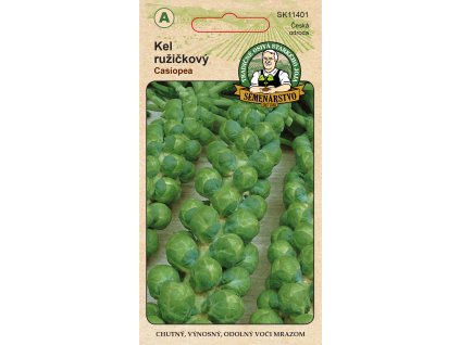 kel ruzickovy casiopea predna strana