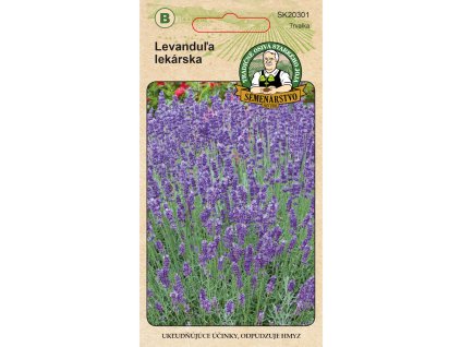 levandula lekarska predna strana