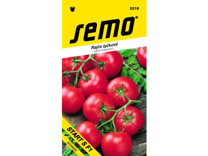 rajciak kolikovy start s f1 semo