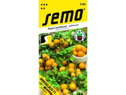 rajciak krickovy minigelbus f1 semo