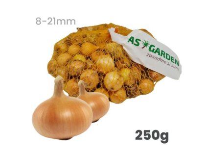 cibula stutgart zlta odroda na skladovanie