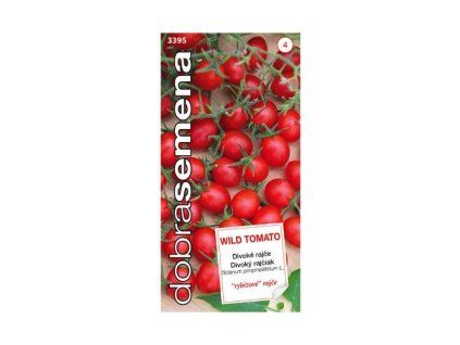 rajciak wild tomato povodna stredoamericka odroda