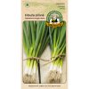 Cibuľa zväzková Ázijská – stredne skorá trvácna odroda na celoročný zber vňate od starkého Joja