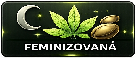 Feminizovaná semena