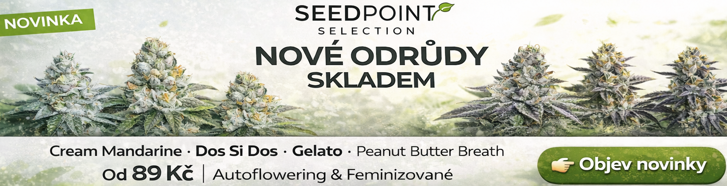 Seedpoint Selection novinky