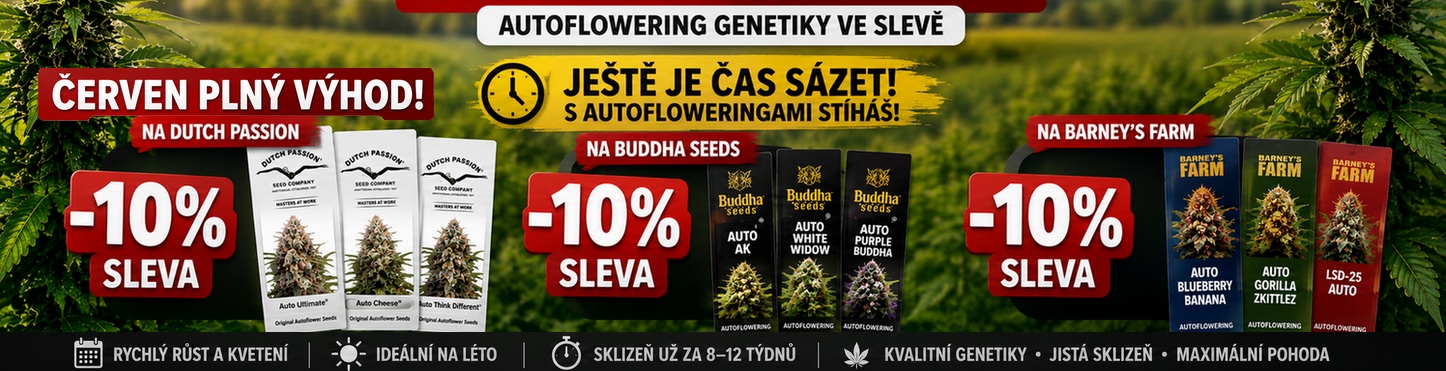 slefa