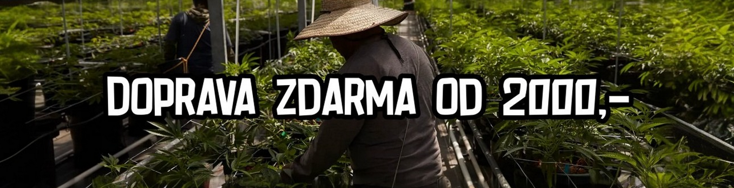Doprava zdarma