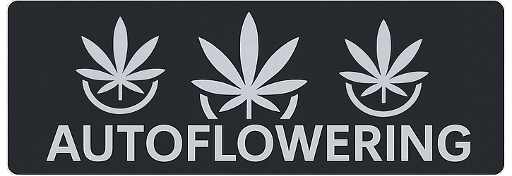 Autoflowering Semena