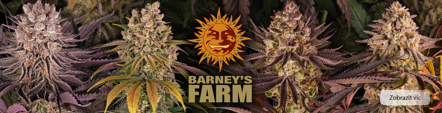 Barney's Farm