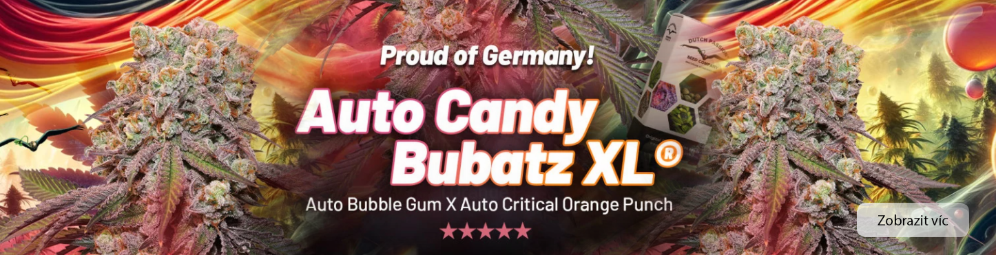 Auto candy Bubatz