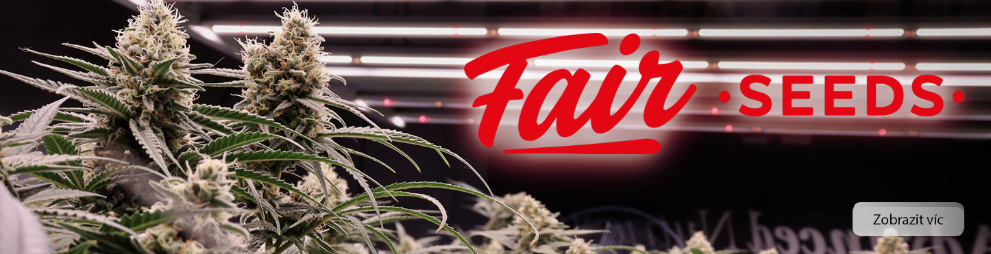 Fairseeds